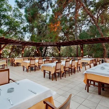 Alara Star Hotel 5*