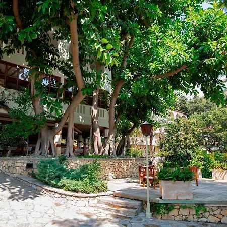 Alara Star Hotel